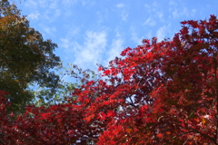 三渓園-413