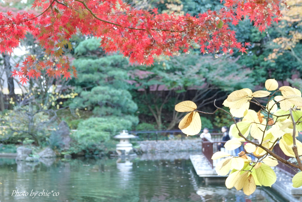横浜公園-004