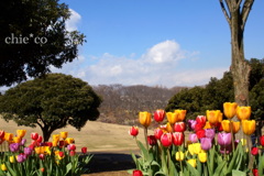 横浜根岸森林公園-120