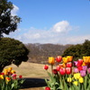 横浜根岸森林公園-120