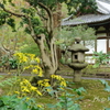 三渓園-354