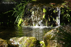 鎌倉-218