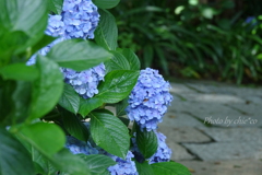 鎌倉-290