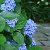 鎌倉-290
