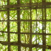 一条恵観山荘-181