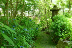 鎌倉-264
