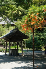鎌倉-095