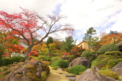 箱根美術館庭園-194
