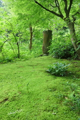 東慶寺-259