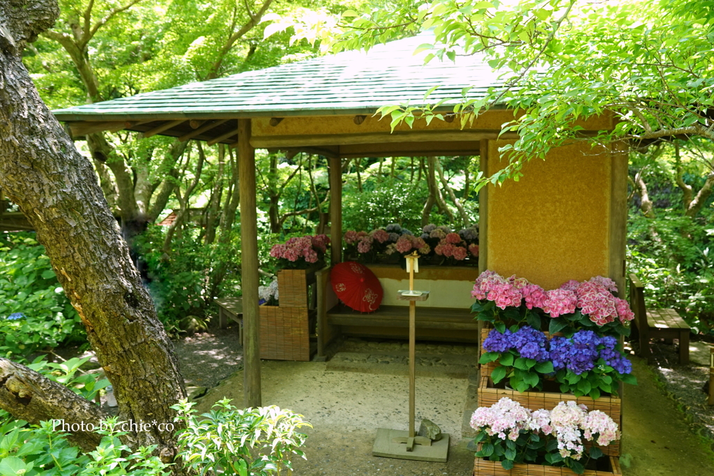 鎌倉-267