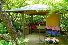 鎌倉-267