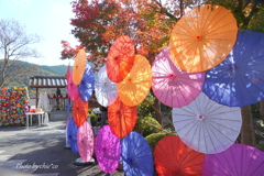 宝徳寺-139