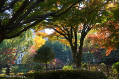 晩秋の横浜公園-011