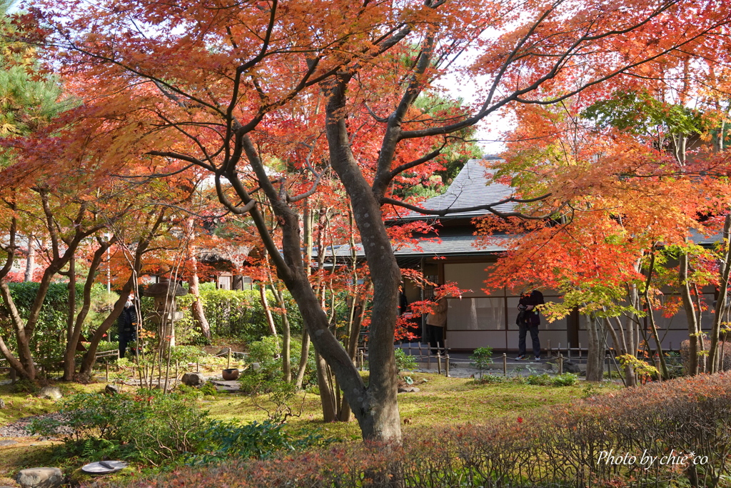 一条恵観山荘-105