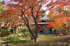 一条恵観山荘-105