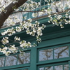 山手イタリア山庭園-135