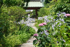 鎌倉-100
