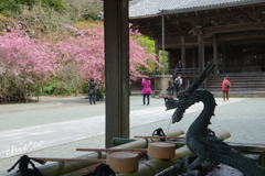 鎌倉-283