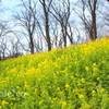 横浜根岸森林公園-126