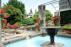 山手イタリア山庭園-104