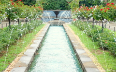 山手イタリア山庭園-143