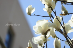 山下公園と・・-202