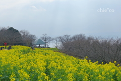 吾妻山公園-194