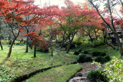 三渓園-430