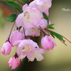 鎌倉-061