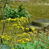三渓園-353