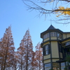 山手イタリア山庭園-220