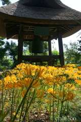 西方寺-230