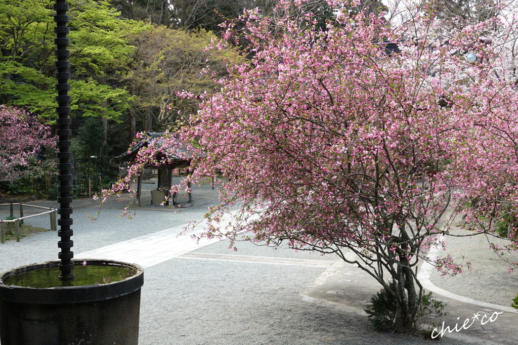 鎌倉-296