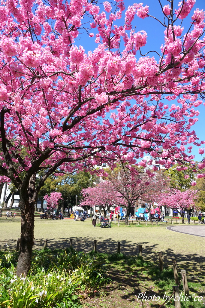 Yokohama-275