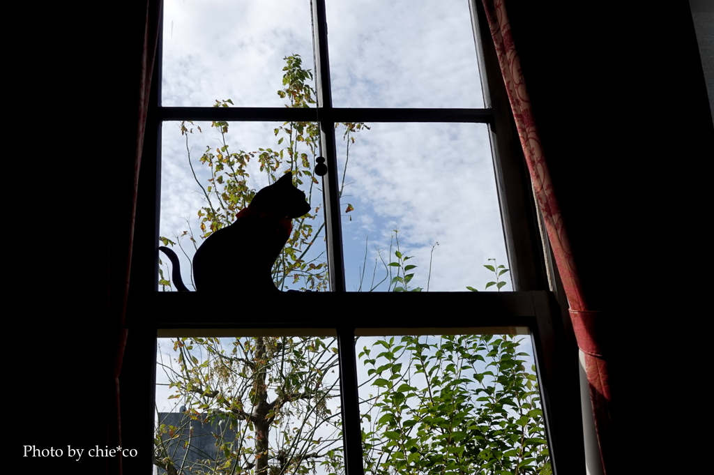 ハロウィン装飾～外交官の家-011