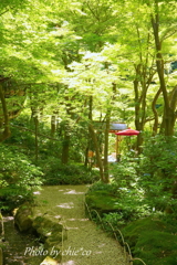 一条恵観山荘-271