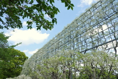 あしかがフラワーパーク-170