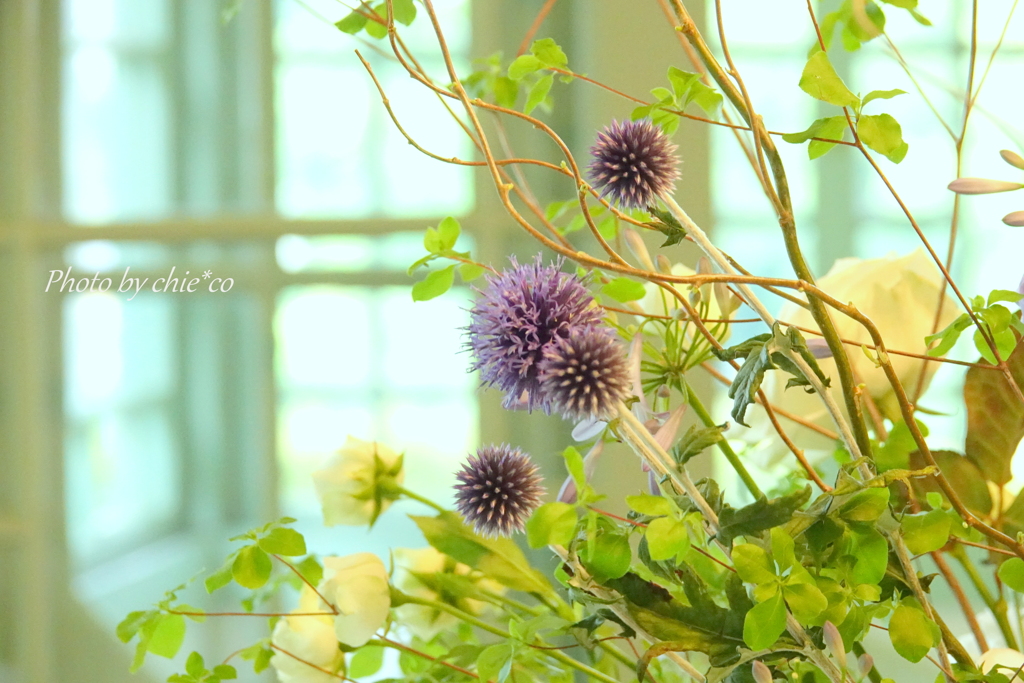 山手イタリア山庭園-154