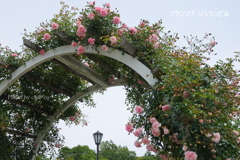アメリカ山公園-143