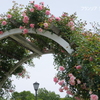 アメリカ山公園-143