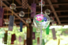 円覚寺-073