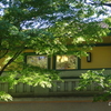 山手・元町-206