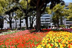 横浜公園-089