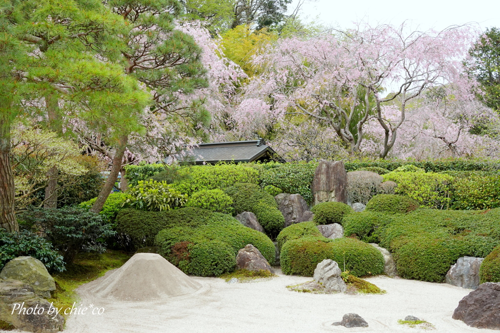 鎌倉-203