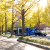 Yokohama 秋彩 -102