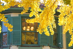 山手イタリア山庭園-154