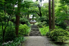 鎌倉-626