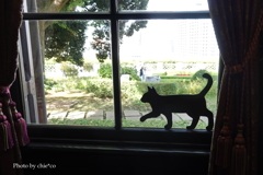 ハロウィン装飾～外交官の家-001