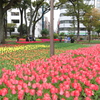 横浜公園-153