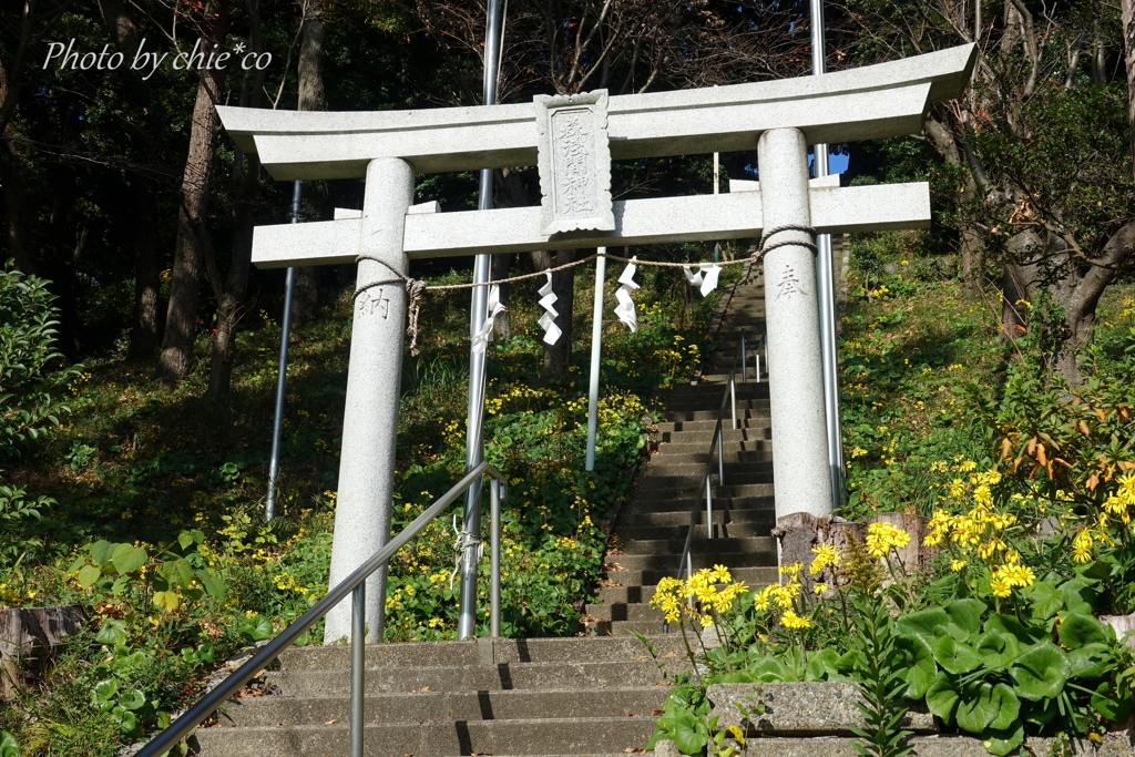 森浅間神社-167